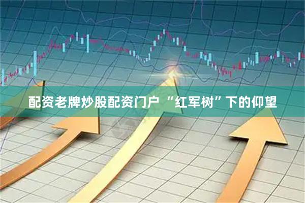 配资老牌炒股配资门户 “红军树”下的仰望